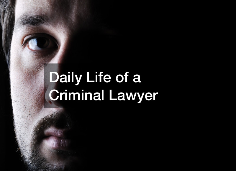 Daily Life of a Criminal Lawyer