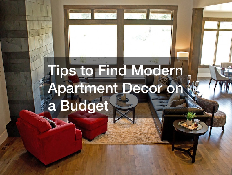 Tips to Find Modern Apartment Decor on a Budget