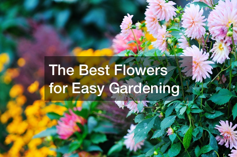 The Best Flowers for Easy Gardening